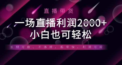 半无人直播带货，一场利润数张，适合所有平台玩法，小白也可轻松-项目网站