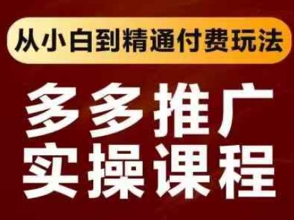 拼多多推广实操课程，从小白到精通付费玩法-项目网站