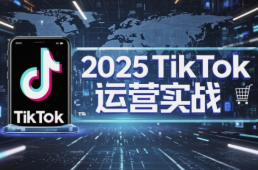 2025TikTok电商运营，掌握TikTok店铺运营核心技巧，实现低成本高转化-项目网站