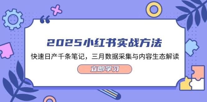 2025小红书实战方法，快速日产千条笔记，三月数据采集与内容生态解读-项目网站