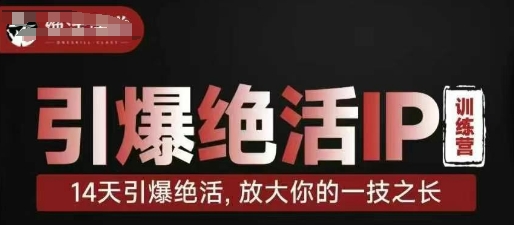 引爆绝活IP训练营，14天引爆绝活，放大你的一技之长-项目网站