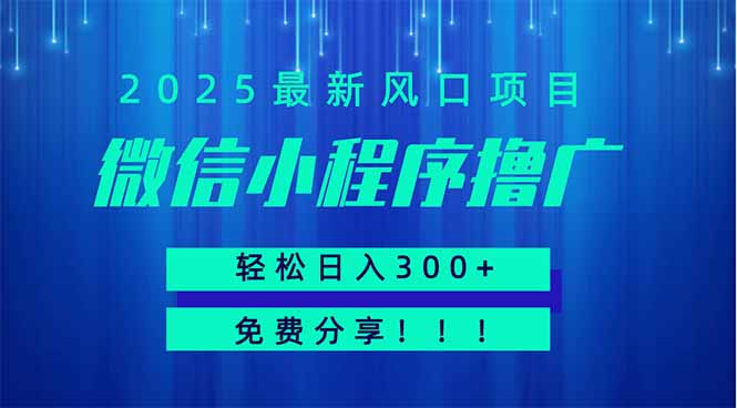 微信小程序撸广，最新风口项目，日入300+ 免费分享 可批量操作 小白可…-项目网站