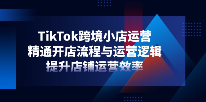 TikTok跨境小店运营，精通开店流程与运营逻辑，提升店铺运营效率-项目网站