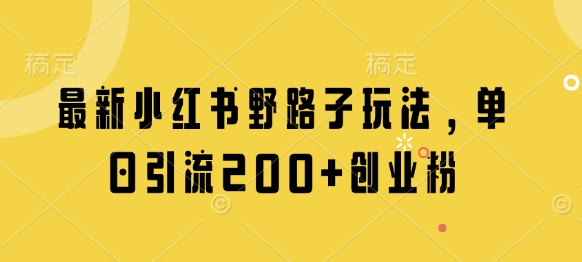 最新小红书野路子玩法，单日引流200+创业粉-项目网站