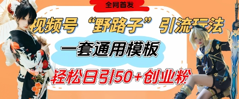 视频号“野路子”玩法，评论区疯狂截流，一套模板单日单号引流50+创业粉-项目网站