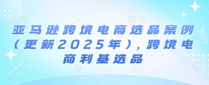 亚马逊跨境电商选品案例(更新2025年4月)，跨境电商利基选品-项目网站