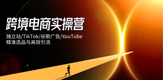 跨境电商实操营：独立站/TikTok/谷歌广告/YouTube，精准选品与高效引流-项目网站