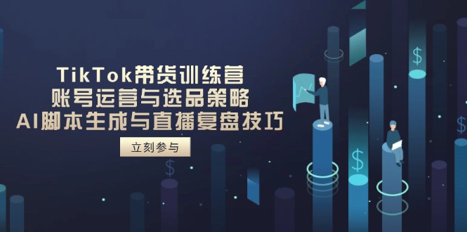 TikTok带货训练营，账号运营与选品策略，AI脚本生成与直播复盘技巧-项目网站