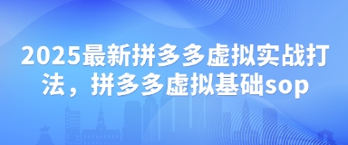 2025最新拼多多虚拟实战打法，拼多多虚拟基础sop-项目网站