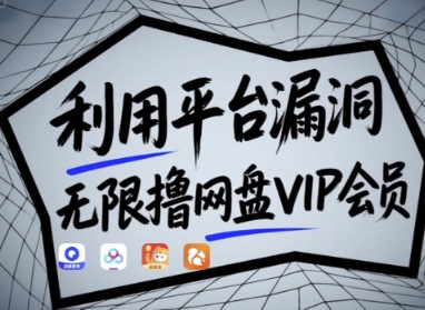 利用平台漏洞，无限撸网盘VIP会员，用户亲测有效!【漏洞原理+操作演示】-项目网站
