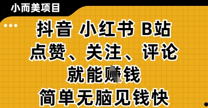 小而美的项目，抖音小红书B站视频点赞、关注、评论就能挣钱，简单无脑立见收益，妥妥的零撸项目【揭秘】-项目网站