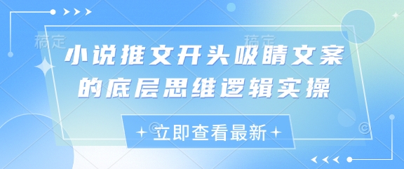 小说推文开头吸睛文案的底层思维逻辑实操-项目网站