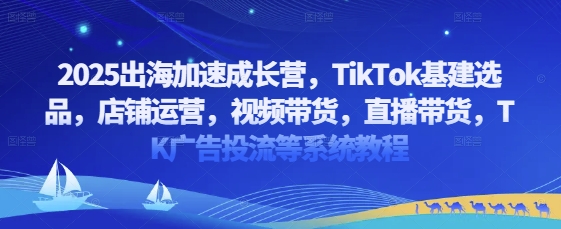 2025出海加速成长营，TikTok基建选品，店铺运营，视频带货，直播带货，TK广告投流等系统教程-项目网站