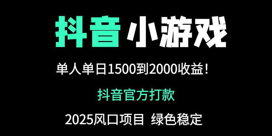 抖音官方小游戏2025全网最新玩法，暴利赚钱项目，单机日入2000+-项目网站