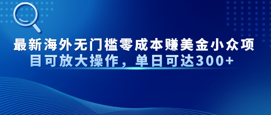 最新海外无门槛零成本赚美金小众项目可放大操作，单日可达300+-项目网站