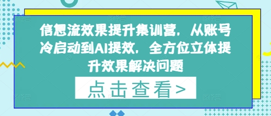 信息流效果提升集训营，从账号冷启动到AI提效，全方位立体提升效果解决问题-项目网站