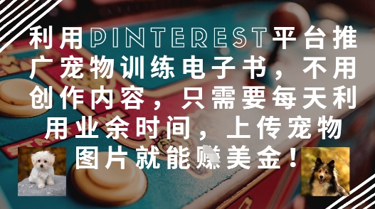 利用Pinterest平台推广宠物训练电子书，不用创作内容，只需要每天利用业余时间，上传宠物图片就能挣美金!-项目网站