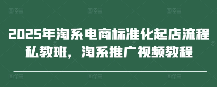 2025年淘系电商标准化起店流程私教班，淘系推广视频教程-项目网站