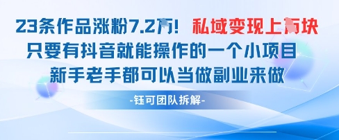 抖音私域项目23条作品涨粉7.2W，私域变现1W-项目网站