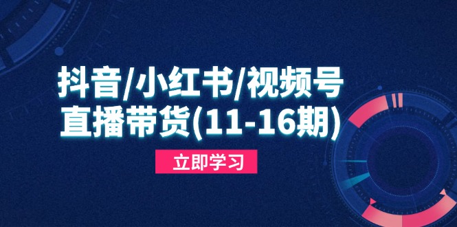 抖音/小红书/视频号/直播带货(11-16期-项目网站