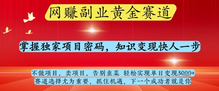 网创副业黄全赛道，掌握独家项目密码，知识变现快人一步，告别韭菜轻松实现单日变现1k+【揭秘】-项目网站