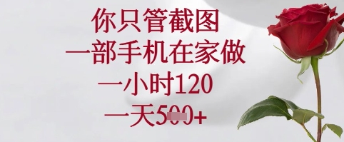 你只管截图，一部手机在家可以做，一小时120.一天5张+【揭秘】-项目网站