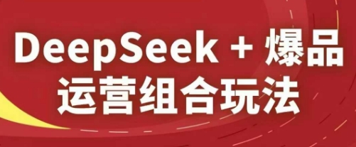 DeepSeek+爆品运营组合玩法，2025淘系精品课-项目网站