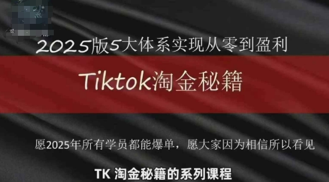 TikTok跨境2025淘金秘籍，​2025TikTok从0到盈利变现-项目网站