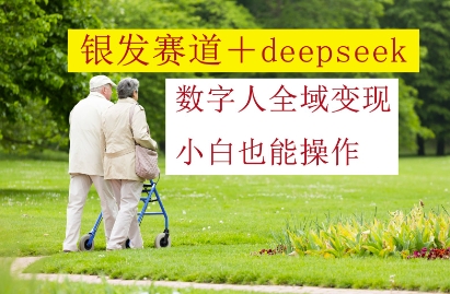 银发赛道+deepseek数字人全域变现，小白也能操作-项目网站