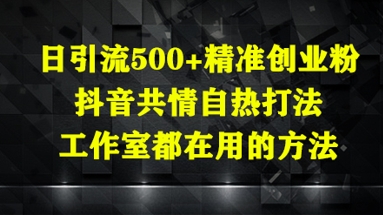 日引流500+精准创业粉，抖音共情自热打法，工作室都在用的方法-项目网站