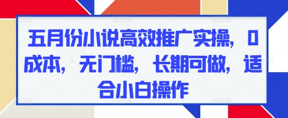 五月份小说高效推广实操，0成本，无门槛，长期可做，适合小白操作-项目网站