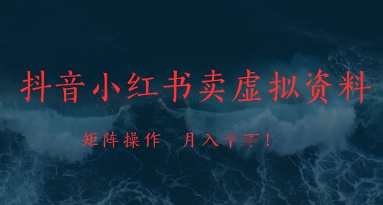 抖音小红书卖虚拟资料，市场需求一直存在，矩阵操作，月入1w+-项目网站
