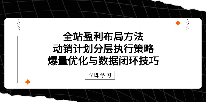 全站盈利布局方法：动销计划分层执行策略，爆量优化与数据闭环技巧-项目网站