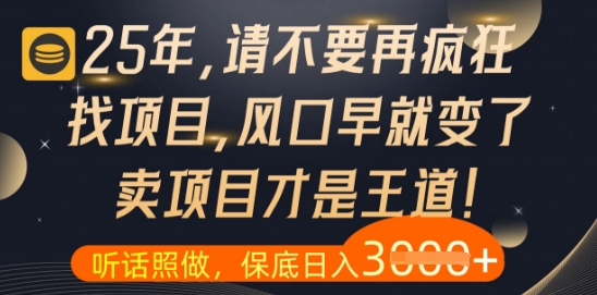 什么？25年你还在疯狂找项目做，醒醒吧，看完这些你全都懂了【揭秘】-项目网站