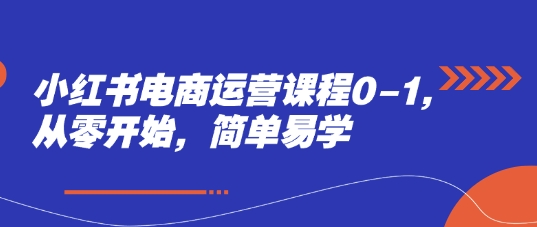 小红书电商运营课程0-1，从零开始，简单易学-项目网站