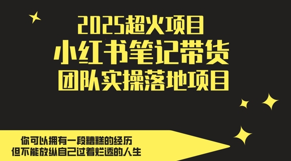 2025超火项目，副业最佳选择，小红书笔记带货团队实操落地项目，，轻松日入5张-项目网站