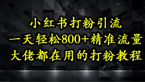 小红书打粉引流，一天轻松500+精准流量，大佬都在用的打粉教程-项目网站