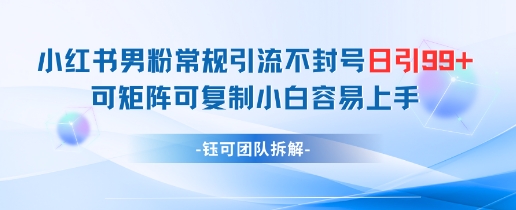 小红书男粉常规引流不封号日引99+变现简单 可矩阵可复制小白容易上手-项目网站