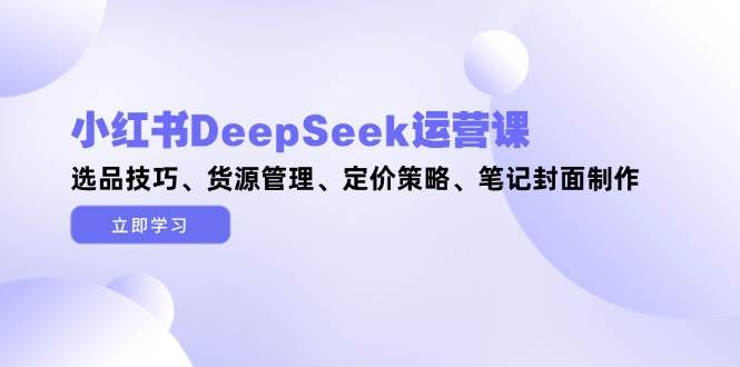 小红书DeepSeek运营课，选品技巧、货源管理、定价策略、笔记封面制作-项目网站