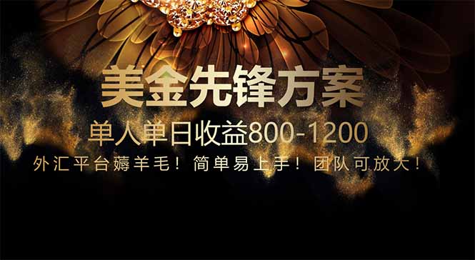 免费技术！小众赛道！一年布局抵三年努力，每日800+-项目网站