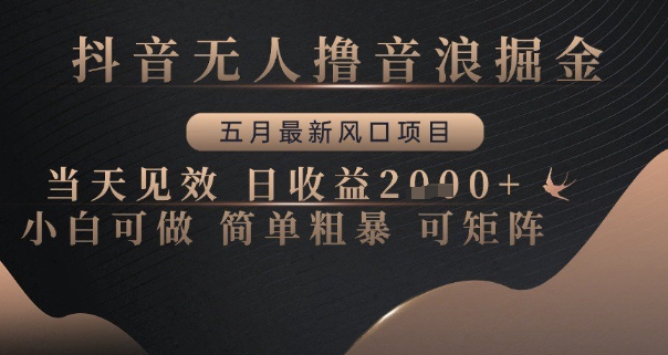 抖音无人撸音浪掘金，五月最新风口项目，当天见效，日收益多张，小白可做简单粗暴可矩阵【揭秘】-项目网站
