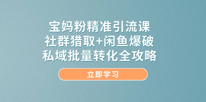 宝妈粉精准引流课，社群猎取+闲鱼爆破，私域批量转化全攻略-项目网站