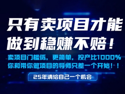 只有卖项目才能做到稳挣不赔，门槛低，更简单，你也可以年入百个W【揭秘】-项目网站