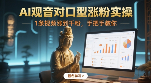 AI观音对口型涨粉实操，1条视频涨到千粉，手把手教你-项目网站