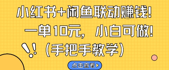 小红书+闲鱼联动挣钱，一单10元，小白可做-项目网站