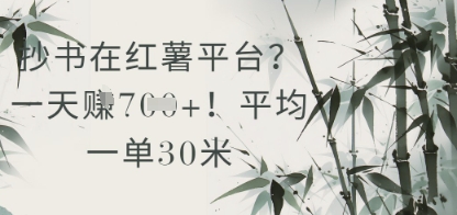 抄书在小红薯平台？平均一单30米，一天收益几张！-项目网站