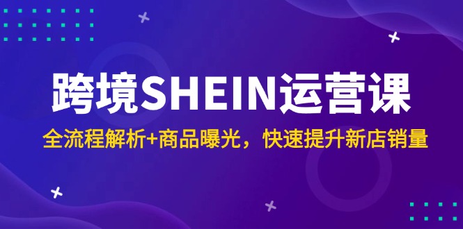 跨境SHEIN运营课，全流程解析+商品曝光，快速提升新店销量-项目网站