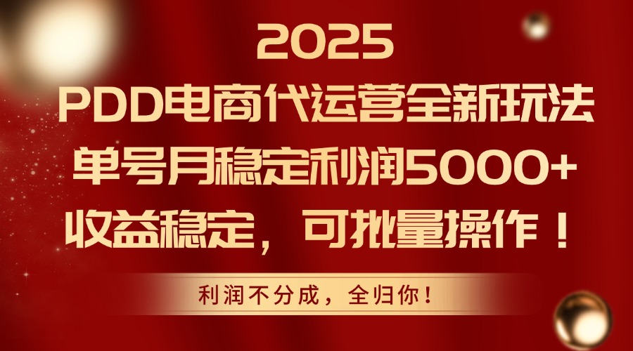 2025PDD电商代运营全新玩法，单号月稳定利润5000+，收益稳定，可批量操作-项目网站