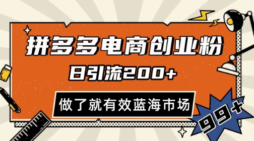拼多多引流电商创业粉，日引200+，可矩阵放大，做了就有效【揭秘】-项目网站