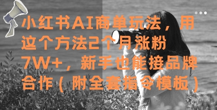 小红书AI商单玩法，用这个方法2个月涨粉7W+，新手也能接品牌合作(附全套指令模板)-项目网站